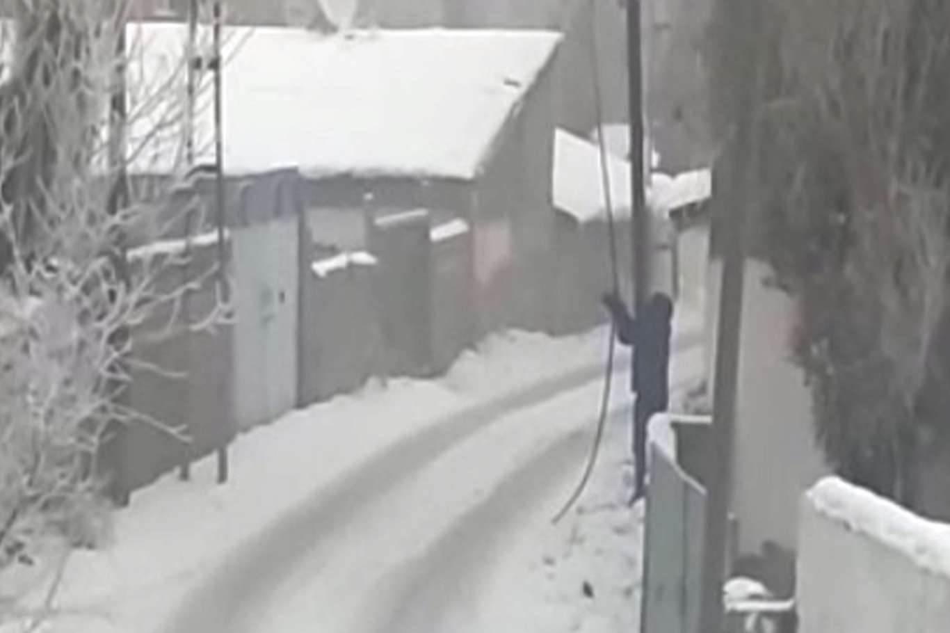 Ağrı'da 37 noktada internet kablosunu koparıp çalan hırsız, insanları mağdur etti